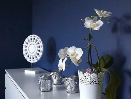 Matejki Apartment Stettin