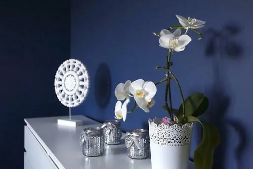 Matejki דירה שצ'צ'ין